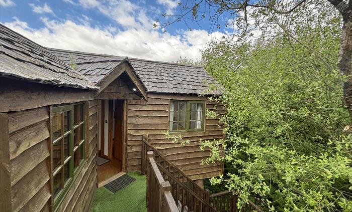 Cuckoo's Nest Treehouse